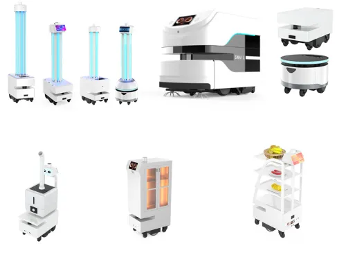 Minn Servizz ta 'Teknoloġija Sewda għal Neċessitajiet Robots Usher f'Età tad-...