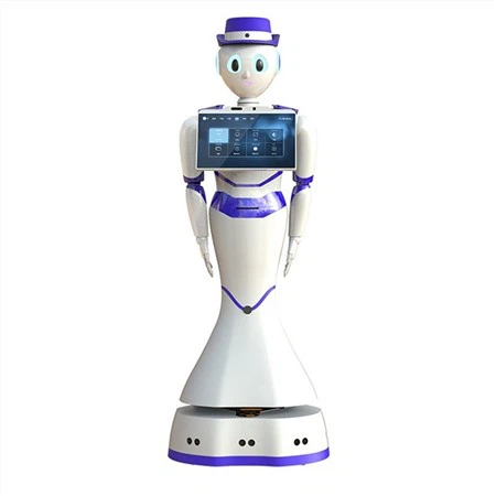 Kummerċjali Is-Sala tal-Wirjiet Robot tas-Servizz Umanojku